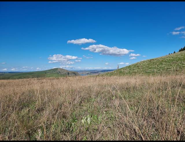 202,781M² FARM FOR SALE IN DARGLE